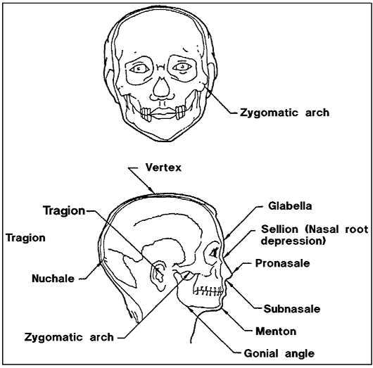 ANTHROPOMETRY AND BIOMECHANICS