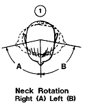 Neck, rotation 