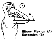 Elbow, flexion 