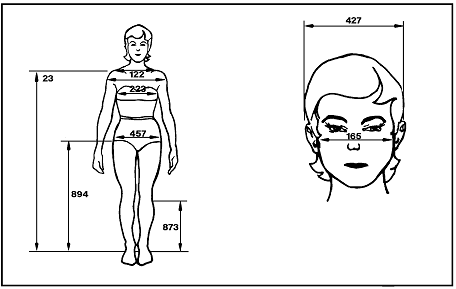 Sketches of a woman's body (front view) and a woman's head (front view) labeling the measurements