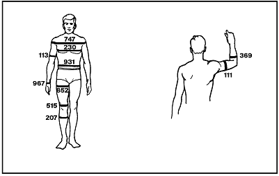 Sketches of a man's body (front view) and a man's arm (side view) labeling the measurements