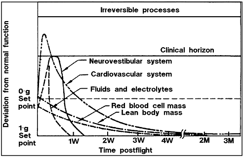 Figure of Time Course of Physiological Shifts During Readaptation to 1-G