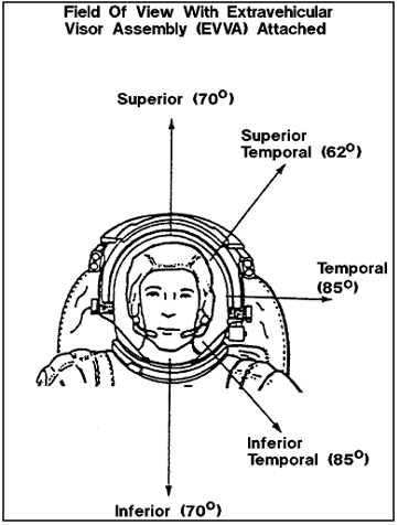 Figure of Crewmember to demonstrate Field of View