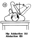 Hip, abduction and adduction