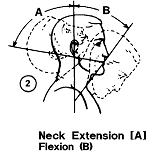 Neck, flexion and extension