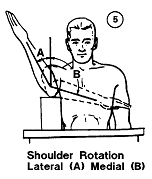 Shoulder, rotation 