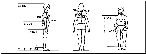Sketches of a woman (back, side, and front-sitting view) labeling the measurements