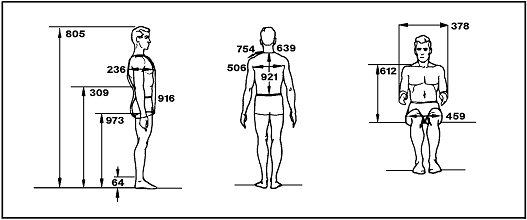 Sketches of a man (back, side, and front-sitting view) labeling the measurements