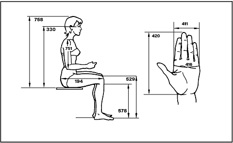 Sketches of a woman's body (side-sitting view) and a woman's hand (palm forward) labeling the measurements