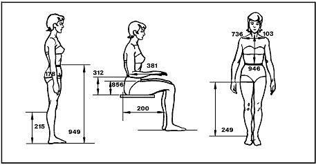 Sketches of a woman (front, side, and side-sitting view) labeling the measurements