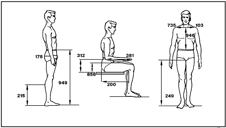 Sketches of a man (front, side, and side-sitting view) labeling the measurements