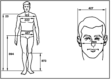 Sketches of a man's body (front view) and a man's head (front view) labeling the measurements