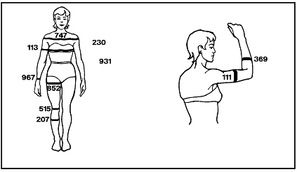Sketches of a woman's body (front view) and a woman's arm (side view) labeling the measurements