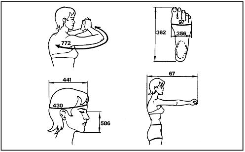 Sketches of a woman's bent arm, woman's foot (top view), woman's outstretched arm (side view), and a woman's head (side view) labeling the measurements