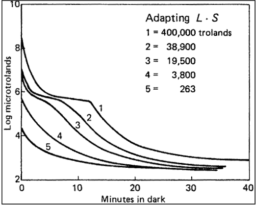 Line graph showing dark adaption thresholds (microtrolands to minutes in dark)