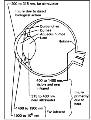 Figure of Impact of Optical Radiation on the Eye