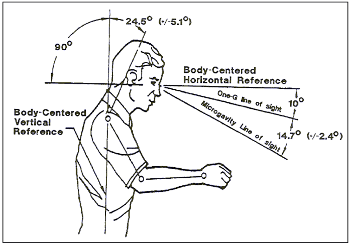 Sketch of man (side view) to show Line-of-Sight for One-G and Microgravity